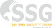 ssg-logo-black-backround-4-178x97